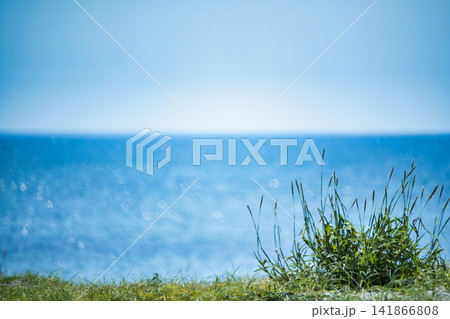 輝く青い海と青空を背景に佇む草の風景 輝く青い海と青空を背景に佇む草の風景 141866808
