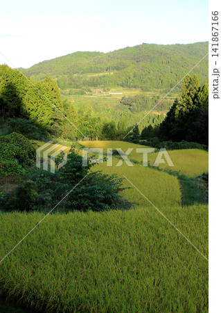 山の中に広がる棚田 山の中に広がる棚田 141867166