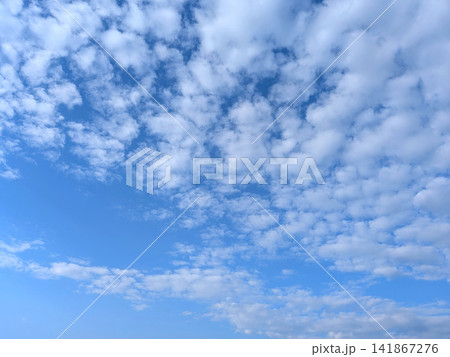 青空一面に広がる白い雲の夏景色 青空一面に広がる白い雲の夏景色 141867276