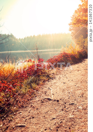 Man tourist stands on a picturesque lakeshore in the autumn morning and looking at the sunrise Man tourist stands on a picturesque lakeshore in the autumn morning and looking at the sunrise 141867310