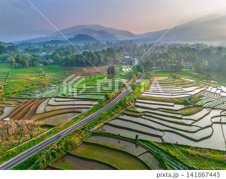 Aerial view of lush green rice terraces at sunrise with golden light reflecting in the water, surrounded by palm trees and misty mountains in Wonosobo, Central Java, Indonesia. Aerial view of lush green rice terraces at sunrise with golden light reflecting in the water, surrounded by palm trees and misty mountains in Wonosobo, Central Java, Indonesia. 141867445