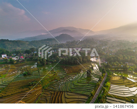 Aerial view of lush green rice terraces at sunrise with golden light reflecting in the water, surrounded by palm trees and misty mountains in Wonosobo, Central Java, Indonesia. Aerial view of lush green rice terraces at sunrise with golden light reflecting in the water, surrounded by palm trees and misty mountains in Wonosobo, Central Java, Indonesia. 141867456