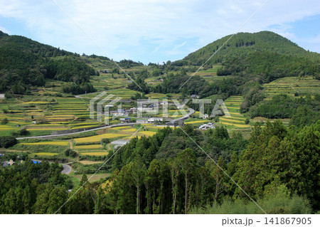里山の棚田のある風景 141867905