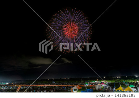 静かな夜空に開く一輪の青紫の花火 141868195