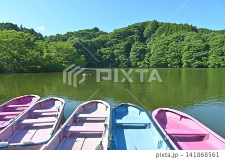 亀山湖のレンタルボート 新緑の湖畔に並ぶカラフルな手漕ぎボート 亀山湖のレンタルボート 新緑の湖畔に並ぶカラフルな手漕ぎボート 141868561