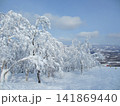 樹氷の付いた雪山 141869440