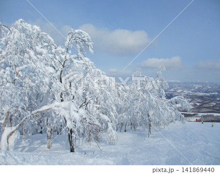 樹氷の付いた雪山 141869440