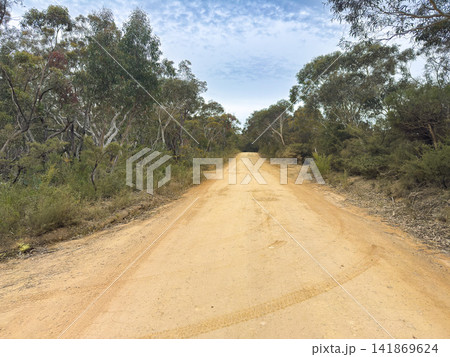 A remote dirt track in bushland in the Blue Mountains National Park A remote dirt track in bushland in the Blue Mountains National Park 141869624