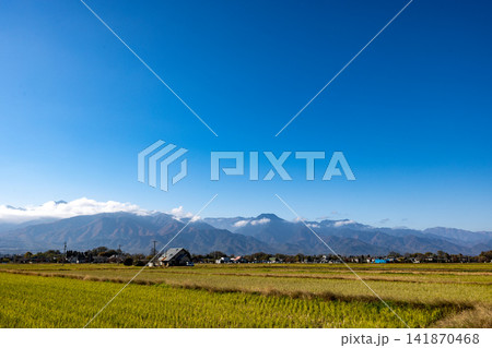 山並みを背景に手前に広がる田んぼと民家を望む秋の農村風景 山並みを背景に手前に広がる田んぼと民家を望む秋の農村風景 141870468