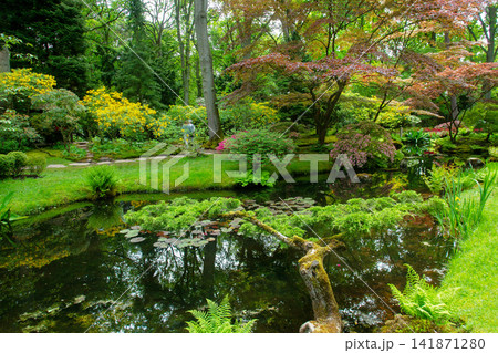 Pond and reflections in japanese garden .  In  bloom   - end of May 141871280