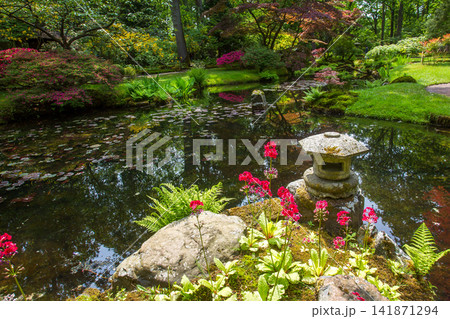 Awe scene in japanese garden at May in the Hague Awe scene in japanese garden at May in the Hague 141871294