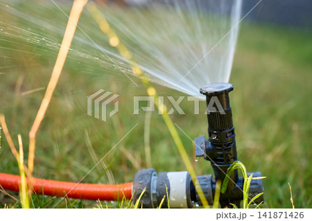 Lawn sprinkler sprays water across grass in garden on sunny day Lawn sprinkler sprays water across grass in garden on sunny day 141871426