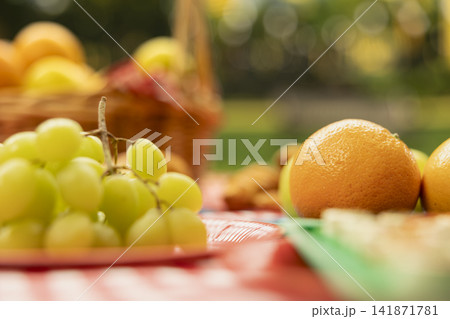 Fresh green grapes fill foreground of picnic food arrangement, empty public park with ripe oranges and basket placed on blanket. Summertime outdoor meal in warm daylight. 141871781