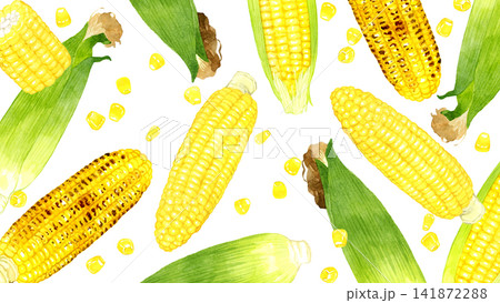 トウモロコシの背景素材 夏野菜の手描き水彩イラスト トウモロコシの背景素材 夏野菜の手描き水彩イラスト 141872288