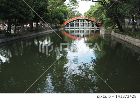 住吉大社の太鼓橋 住吉大社の太鼓橋 141872429