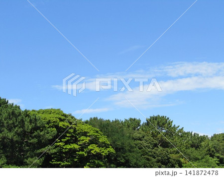 稲毛海岸での青空と白い雲 141872478