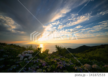 黄金色の夕日と紫陽花が手前に美しく映える弥彦山山頂からの絶景 黄金色の夕日と紫陽花が手前に美しく映える弥彦山山頂からの絶景 141872533
