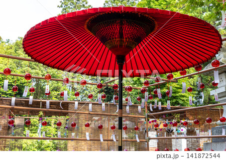 国魂神社の風鈴参道 国魂神社の風鈴参道 141872544