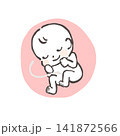 お腹の中の赤ちゃんのイラスト 141872566