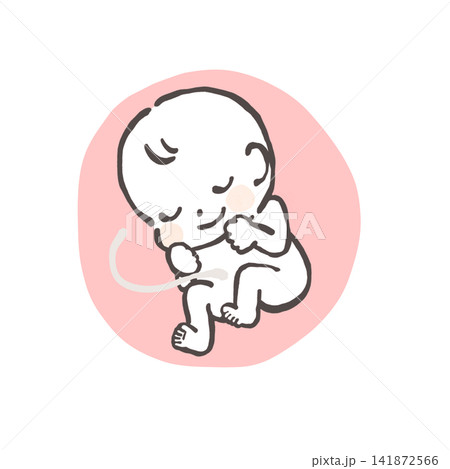 お腹の中の赤ちゃんのイラスト お腹の中の赤ちゃんのイラスト 141872566