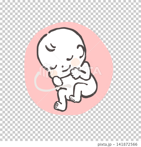 お腹の中の赤ちゃんのイラスト お腹の中の赤ちゃんのイラスト 141872566