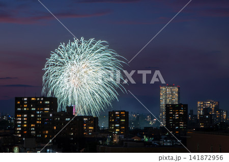夜空に咲く岡崎花火大会とタワーマンションの俯瞰風景 夜空に咲く岡崎花火大会とタワーマンションの俯瞰風景 141872956
