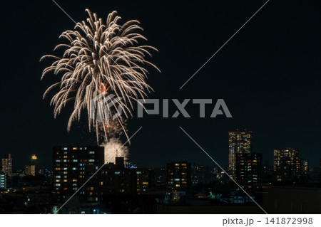 夜空に咲く岡崎花火大会とタワーマンションの俯瞰風景 夜空に咲く岡崎花火大会とタワーマンションの俯瞰風景 141872998