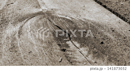 Weathered cracked wood texture. 141873032