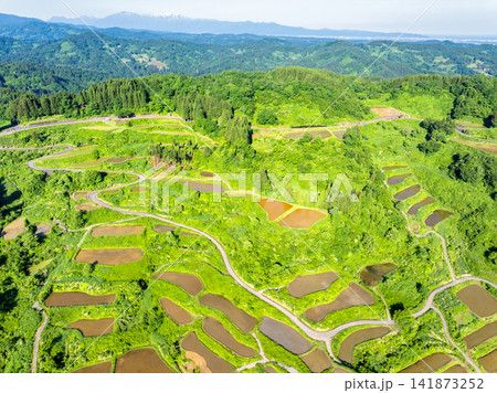星峠の棚田(新潟県十日町市) 星峠の棚田(新潟県十日町市) 141873252