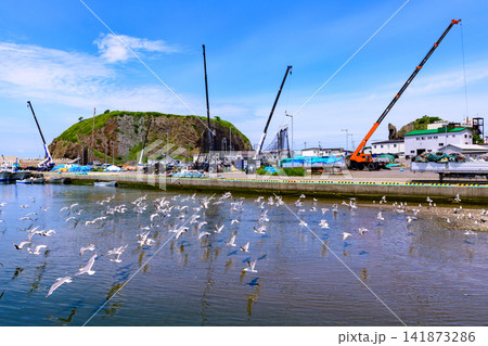 知床ウトロ港を行く 知床ウトロ港を行く 141873286