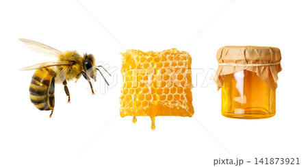 Set. Honey bee gathers nectar next to honeycomb and jar filled with honey, PNG 141873921