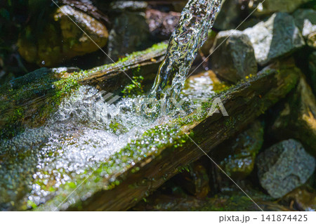 山梨県笛吹市に湧き出る名水「薬王水」と美しく苔むす森の風景 141874425
