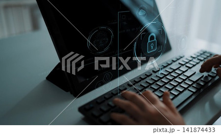 Cybersecurity System Interface with Biometric Digital Lock Marrow 141874433