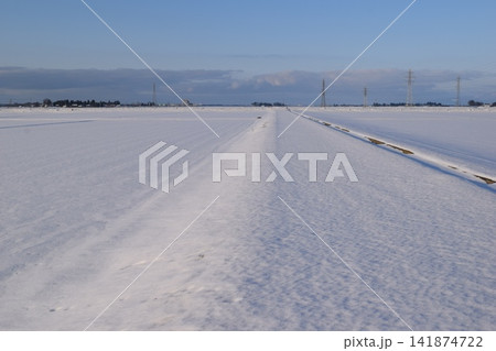 雪国の田園風景 山形県庄内 141874722