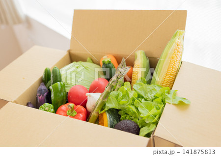 食材 段ボール箱に入った色々な種類の野菜 食材 段ボール箱に入った色々な種類の野菜 141875813