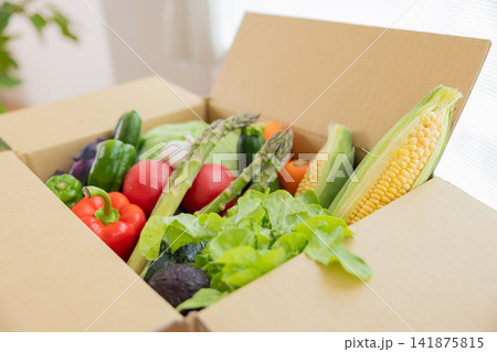 食材　段ボール箱に入った色々な種類の野菜 141875815
