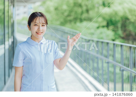 若い女性看護師 若い女性看護師 141876860