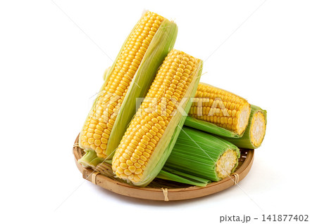 fresh sweet corn cobs with husks arranged on a wooden tray fresh sweet corn cobs with husks arranged on a wooden tray 141877402