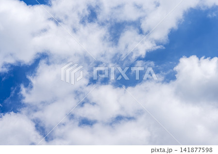 夏の空 青空 空 夏 8月 イメージ 【神奈川県】 夏の空 青空 空 夏 8月 イメージ 【神奈川県】 141877598