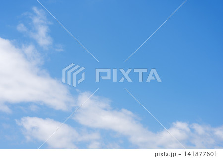 夏の空 青空 空 夏 8月 イメージ 【神奈川県】 夏の空 青空 空 夏 8月 イメージ 【神奈川県】 141877601