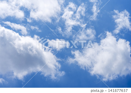 夏の空 青空 空 夏 8月 イメージ 【神奈川県】 141877637