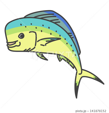 アロハ！シイラ（マヒマヒ）のイラスト・鮮やかな熱帯の魚 141878152