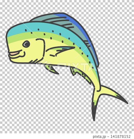 アロハ！シイラ（マヒマヒ）のイラスト・鮮やかな熱帯の魚 141878152