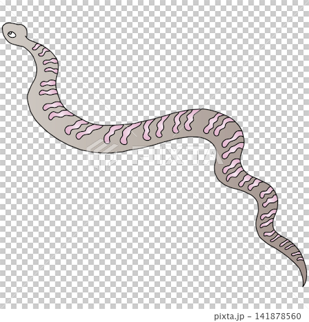 手書き動物イラスト☆蛇 手書き動物イラスト☆蛇 141878560