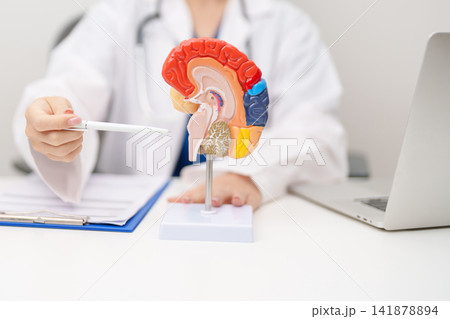 Doctor with human Brain anatomy model. World Brain Tumor day, Brain Stroke, Dementia, alzheimer, parkinson, mental health, neurological disorders and Dementia concept Doctor with human Brain anatomy model. World Brain Tumor day, Brain Stroke, Dementia, alzheimer, parkinson, mental health, neurological disorders and Dementia concept 141878894