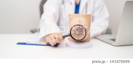 Doctor with Breast Anatomy model. Breast Augmentation Surgery, October Breast Cancer Awareness month, implant, Diagnosis, Beauty woman enlargement and medical education concept Doctor with Breast Anatomy model. Breast Augmentation Surgery, October Breast Cancer Awareness month, implant, Diagnosis, Beauty woman enlargement and medical education concept 141878899