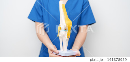 Doctor with Human Knee joint anatomy model. Osteoarthritis, Patellofemoral Pain Syndrome, Patellar Tendinitis, ACL, Anterior Cruciate Ligament, PCL, Posterior, MCL, Medial Collateral, LCL and Lateral Doctor with Human Knee joint anatomy model. Osteoarthritis, Patellofemoral Pain Syndrome, Patellar Tendinitis, ACL, Anterior Cruciate Ligament, PCL, Posterior, MCL, Medial Collateral, LCL and Lateral 141878939