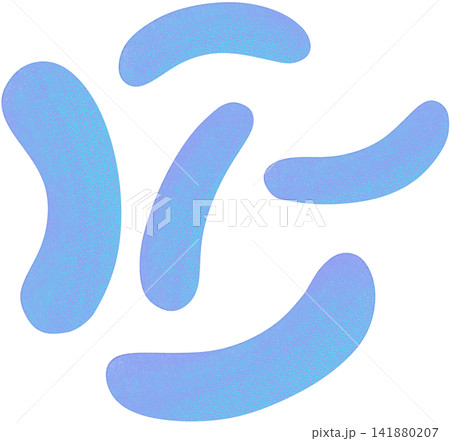 haemophilus influenzae illustration haemophilus influenzae illustration 141880207