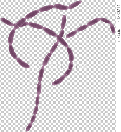 purple bacillus anthracis 141880214