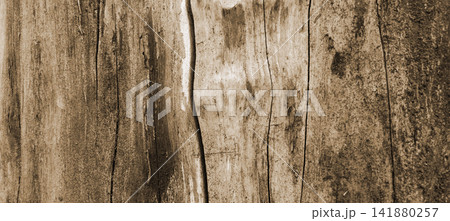 Weathered old wood texture with deep vertical cracks. Weathered old wood texture with deep vertical cracks. 141880257